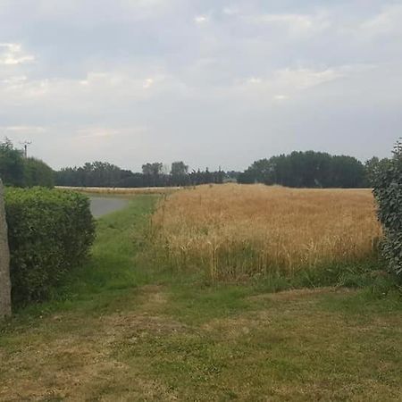 Gite 3 Places Au Coeur Du Tregor Langoat Εξωτερικό φωτογραφία